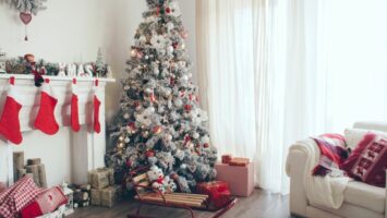 Weihnachten steht vor der Tür - das sollten Sie beim Kauf des Baumes unbedingt beachten
